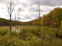 Fall '05 - 5